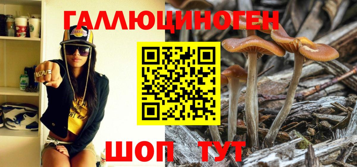 Нефтеюганск  Галлюциногенные грибы Cubensis  где найти наркотики  Вход с VPN 